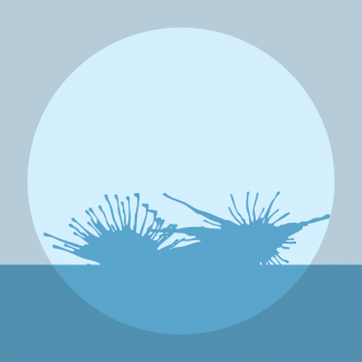 extrait jeux-video Classical Battleship
