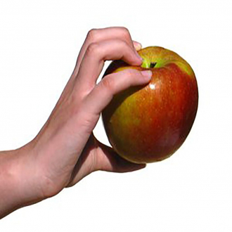 extrait jeux-video Collect the Fruits Game