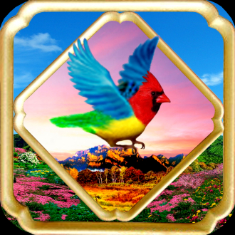 extrait jeux-video Colorful Bird
