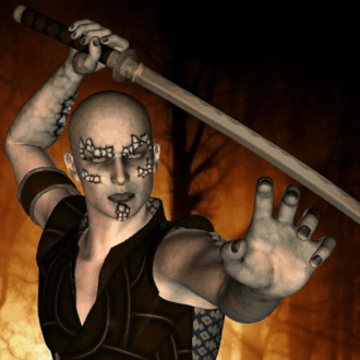 extrait jeux-video Contact de combat