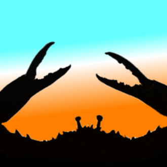 extrait jeux-video Crab Beach