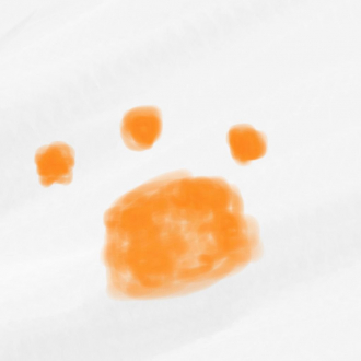 extrait jeux-video Crazy Cat++