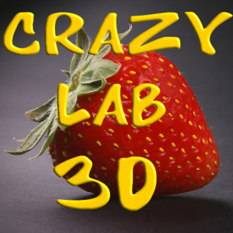 extrait jeux-video Crazy Labyrinth 3D