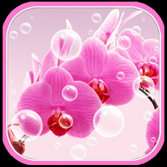 extrait jeux-video Crazy Picture Free