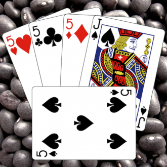 extrait jeux-video Cribbage Cache