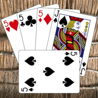 extrait jeux-video Cribbage Layers
