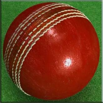 extrait jeux-video Cricket Ball Stay In The Line - A Perfect Game To Get Ready For World Cup Cricket 2015 Free