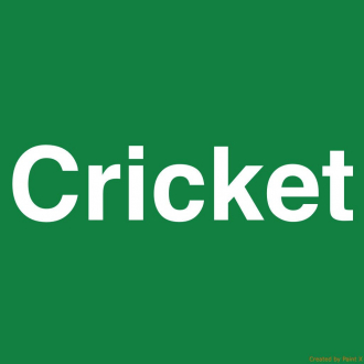 extrait jeux-video Cricket Darts Scoreboard