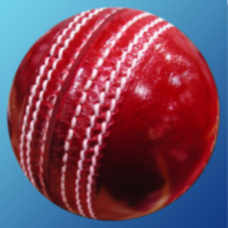 extrait jeux-video Cricket Game