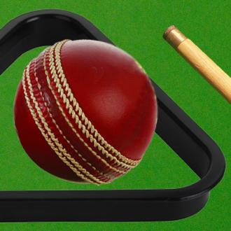 extrait jeux-video Cricket on a Pool Table