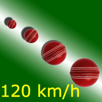 extrait jeux-video cricketSpeed