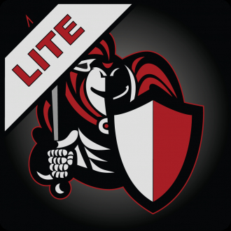 extrait jeux-video DM Minion 4E Lite