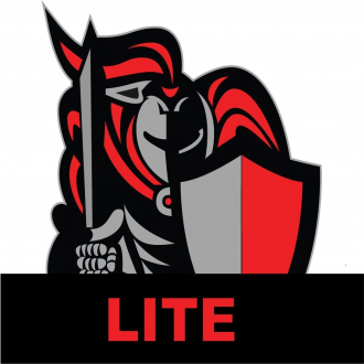 extrait jeux-video DM Minion 5e Lite