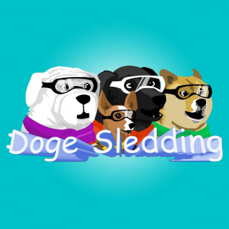 extrait jeux-video Doge Sledding