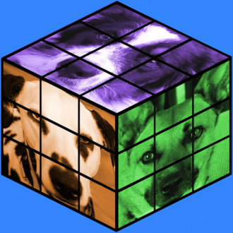 extrait jeux-video Dogs Rubix Cube