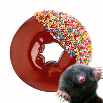 extrait jeux-video Donut Mole