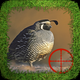 extrait jeux-video Dove Hunting Reloaded