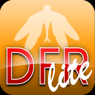 extrait jeux-video DragonFly Racer Lite