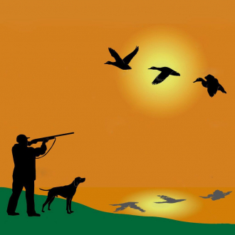 extrait jeux-video Duck Hunt Hero Free