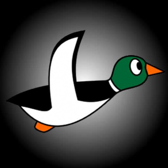 extrait jeux-video Duck Hunting
