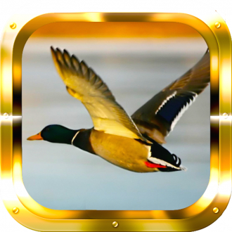 extrait jeux-video Duck Hunting Shooter Reloaded