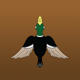 extrait jeux-video DuckLaunch