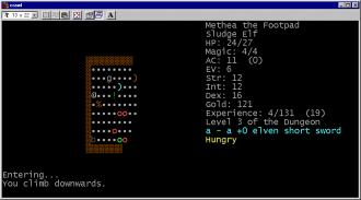 extrait jeux-video Dungeon Crawl