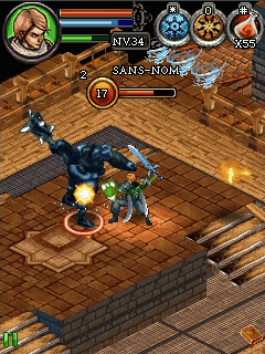 extrait jeux-video Dungeon Hunter 3 (Java)
