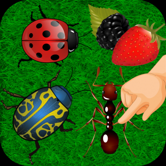 extrait jeux-video Ecrabouilleur de fourmis et d&#039;insectes crazy challenge - 5 jeux