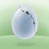 extrait jeux-video Egg Tap Crack Quest Game