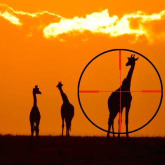 extrait jeux-video Elephant Hunter: Safari Wild Game Sniper