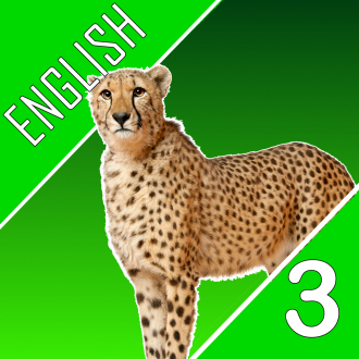 extrait jeux-video English Quest Quiz - Third Grade