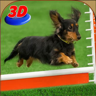 extrait jeux-video Exposition de chien simulateur 3D: former chiots et exécuter des cascades étonnantes