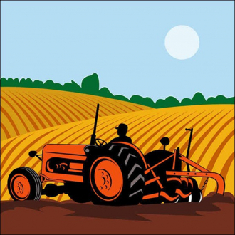extrait jeux-video Farm Puzzle Story1