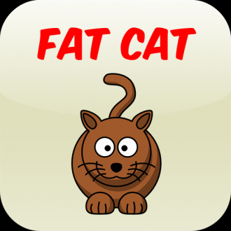 extrait jeux-video Fat Cat