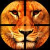 extrait jeux-video Faune de tigre attaque - Reload 3D simulateur de chasse de tigre
