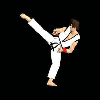extrait jeux-video Final Karate