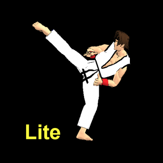 extrait jeux-video Final Karate Lite Version