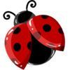 extrait jeux-video Flap.io