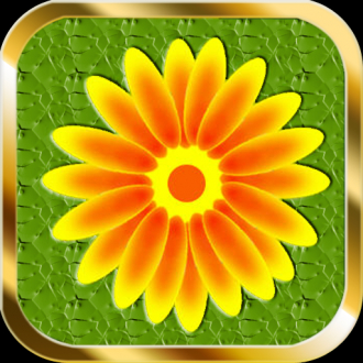 extrait jeux-video Flowers Swap :)