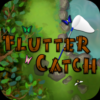 extrait jeux-video Flutter Catch