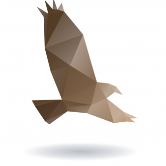 extrait jeux-video Fly Eagle - Flap Flyer