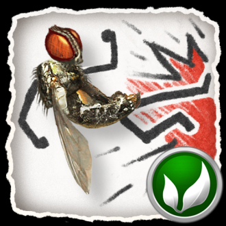 extrait jeux-video Fly Fu