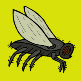 extrait jeux-video Fly Me Home