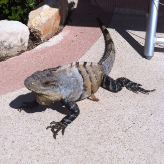 extrait jeux-video followmetracker