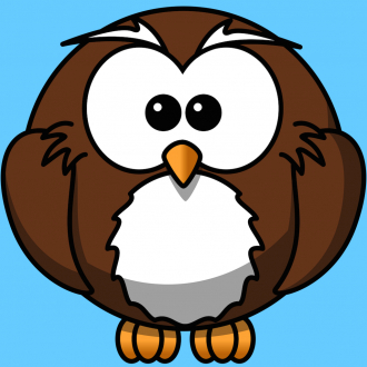 extrait jeux-video Fowl Owl