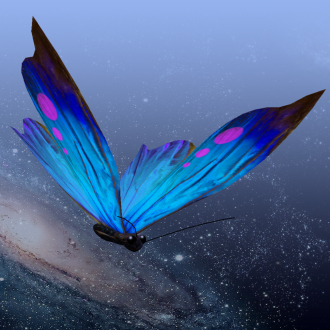 extrait jeux-video Fried Locust