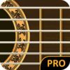 extrait jeux-video Friend's Guitar Pro