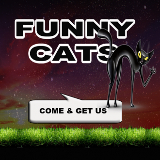extrait jeux-video Funny Cats HD