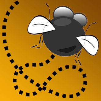 extrait jeux-video Gravity Fly
